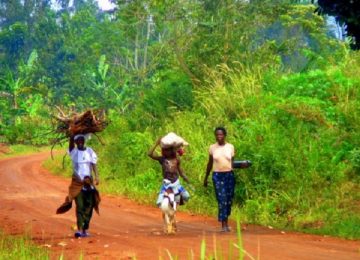 הנחיתה באוגנדה ומה שבא איתה ואחריה